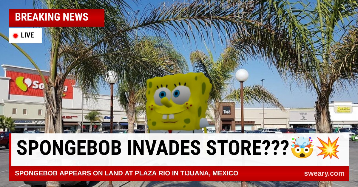 News Meme