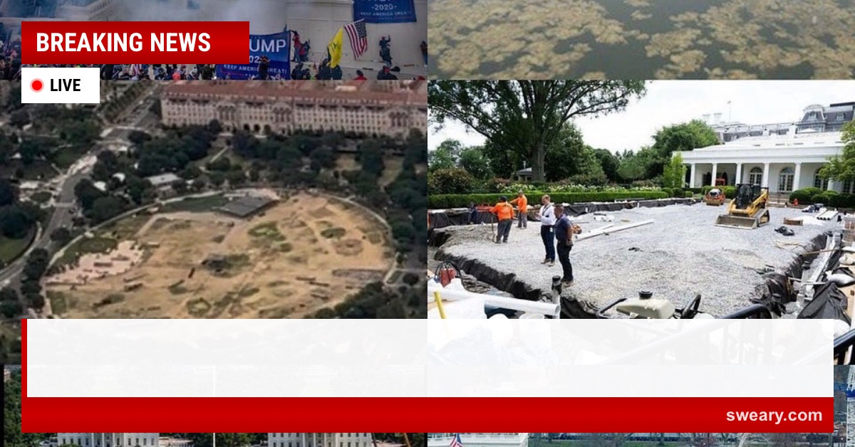Breaking News Meme