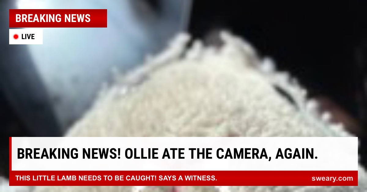 Breaking News Meme