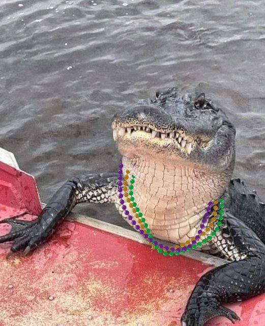 Ready for the Mardi gras season