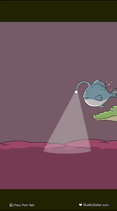 Buddy Gator – We Found It