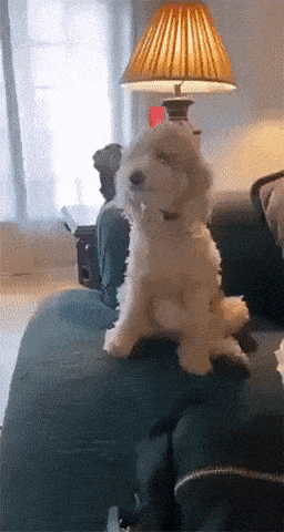 This Viral Post Is Breaking The Internet