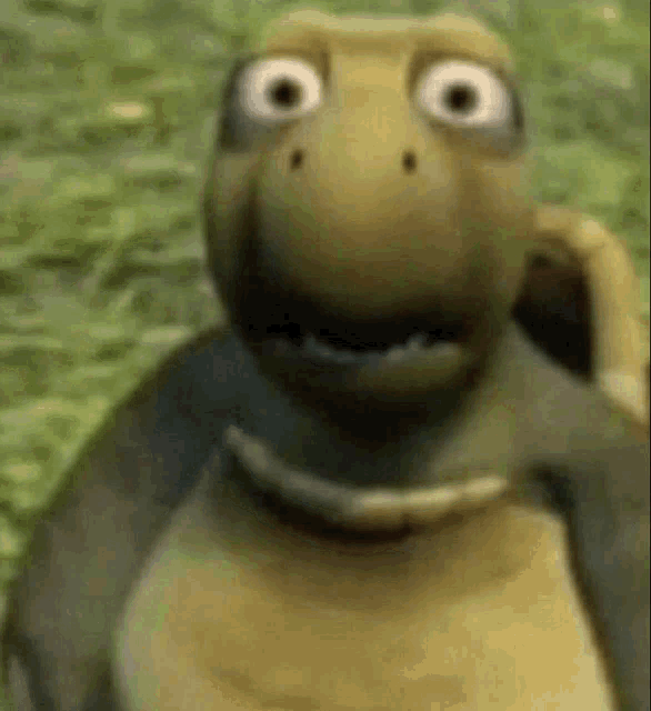 Turtle What