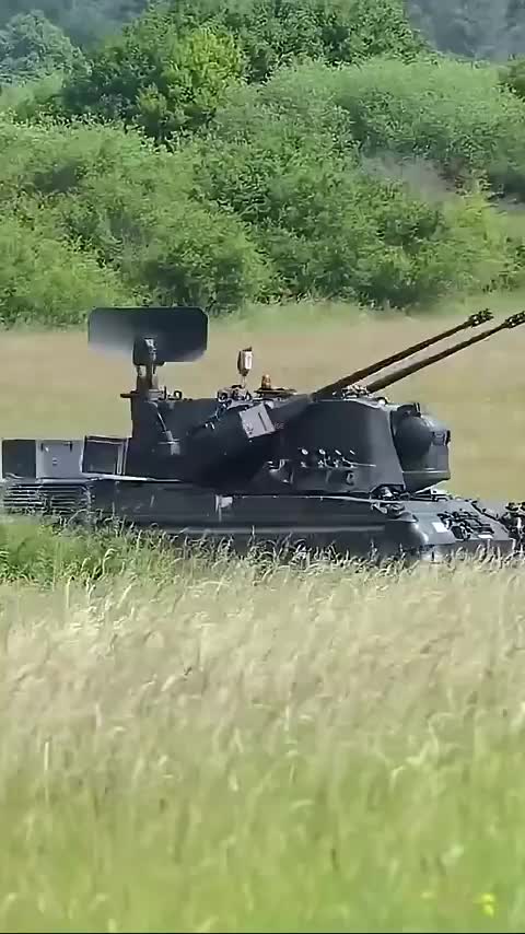 ancient Flakpanzer Gepard 1A2 in Ukraine still kicks