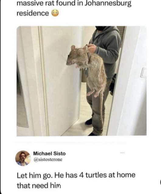 Omg look at the size of that thing