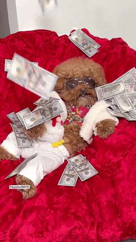All About The Benjamins Money