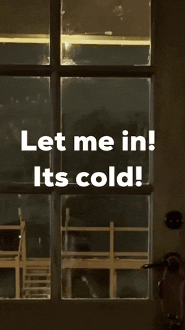 Freezing Snow Day