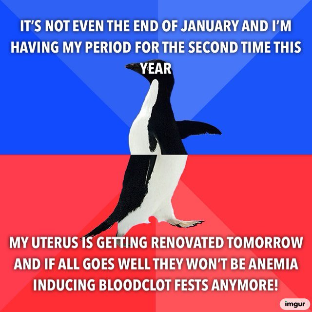 If all doesn’t go well I’m already on the waiting list for a yeeterus