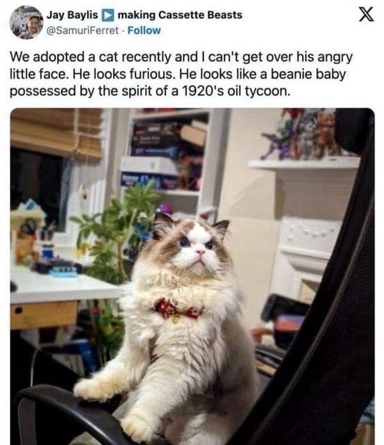 Funny Animal memes for your Monday
