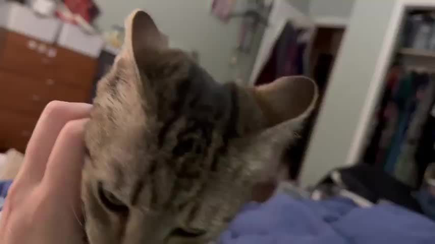 Finger licks = time for bed