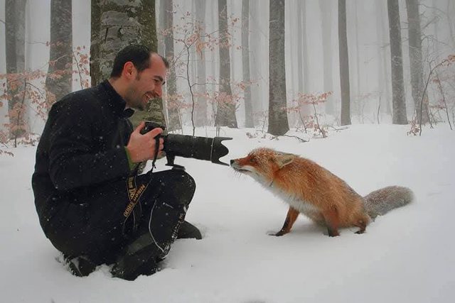 Animals interrupting wildlife photography