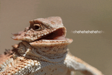 Laughter Laughing