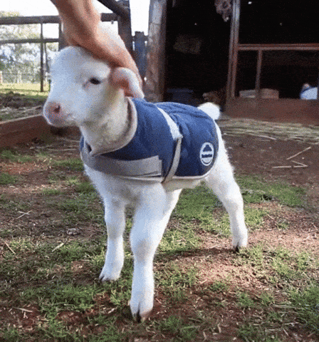 This Viral Post Is Breaking The Internet