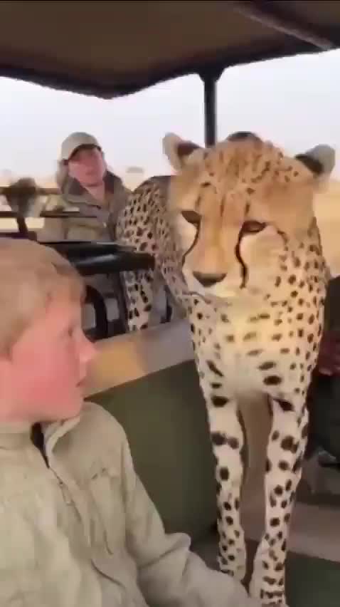 20 nice and wholesome things to brighten your day, vol 169