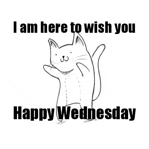 Happy Wednesday Morning