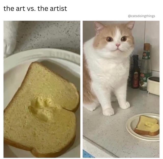 Memes/tomfoolery