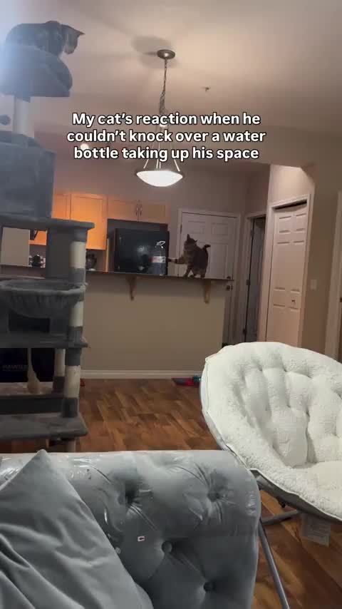 The Staredown of Surrender