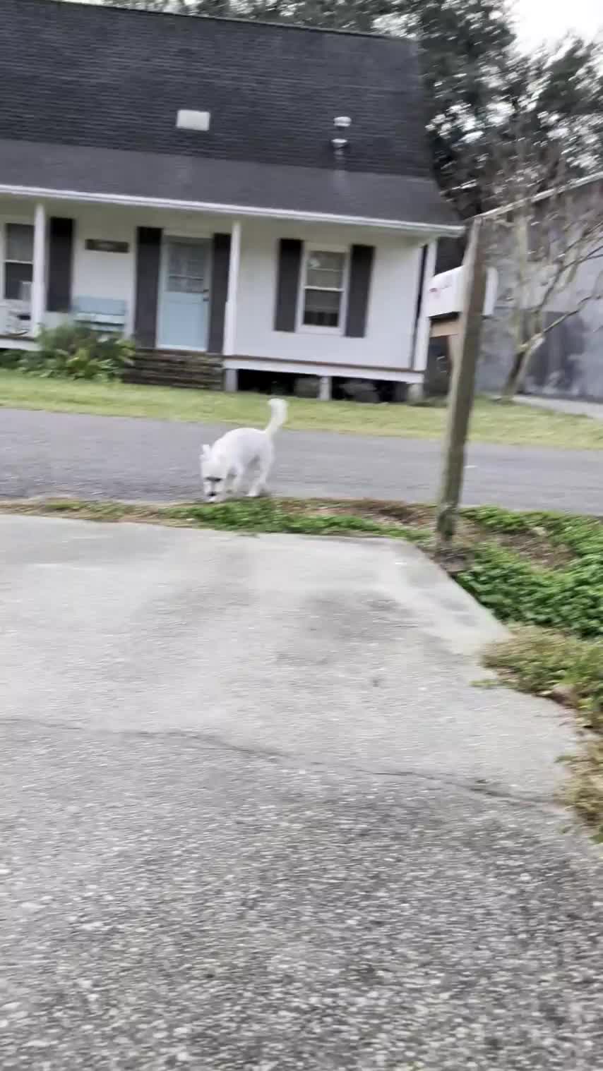 Goodest morning