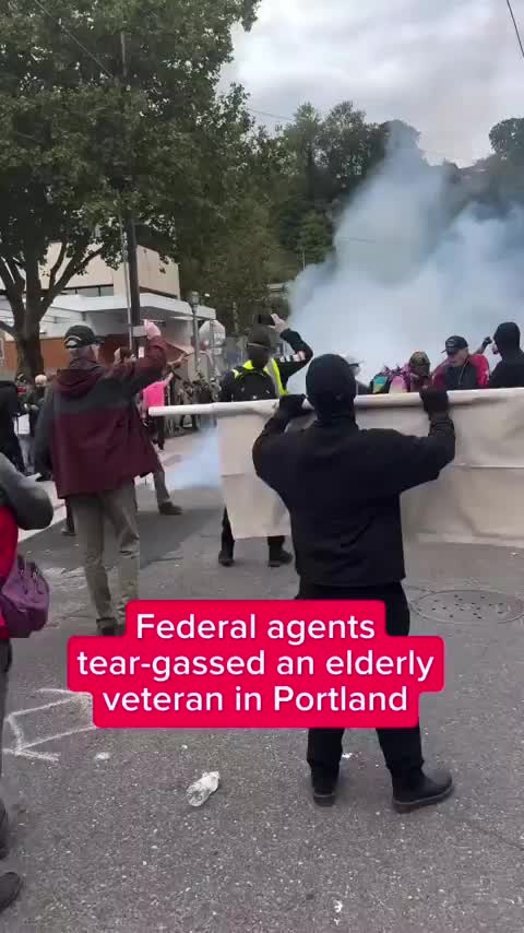 ICE Terrorizing USA For The President