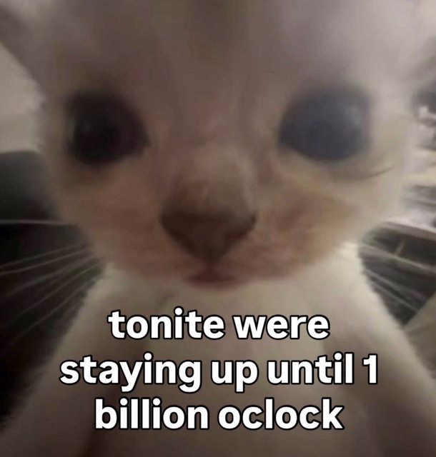Meme dump 731: triangle ears