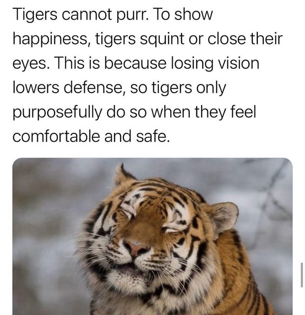 This Viral Post Is Breaking The Internet