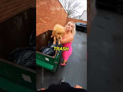 Karen Dumps Puppy, Then Calls the Police on ME?! (Instant Karma) 😎
