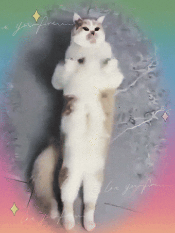Happy Dance