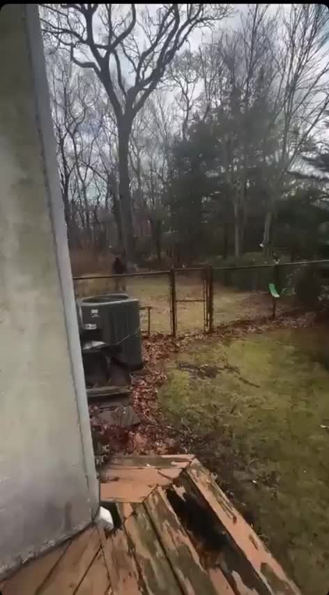 Stay clear of those antlers