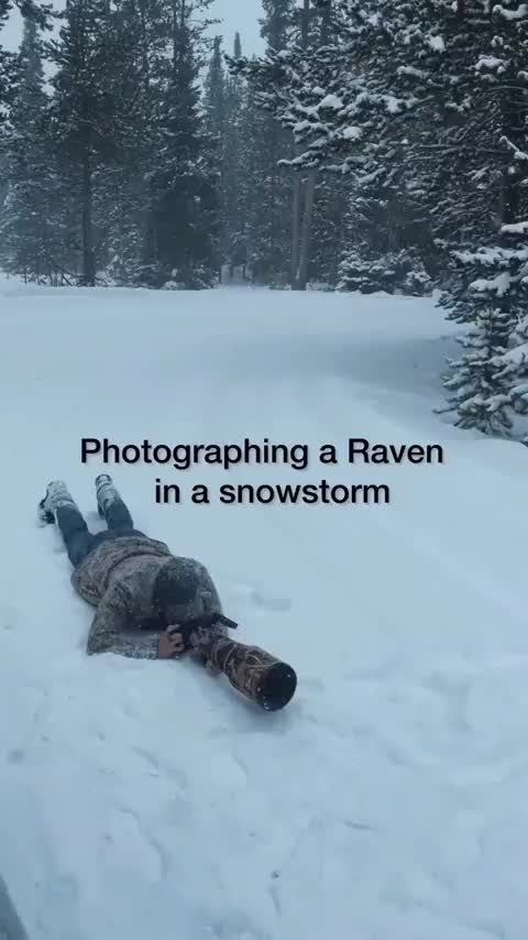 Quoth the Raven