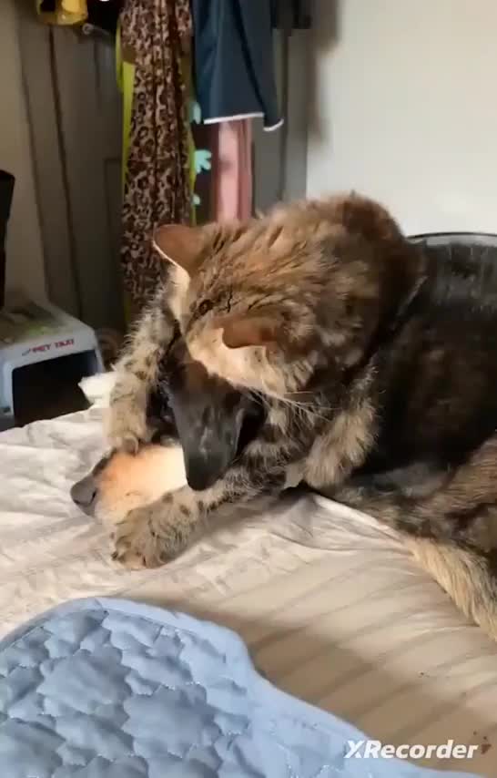 Almost Nothing Comes Between Good Friends