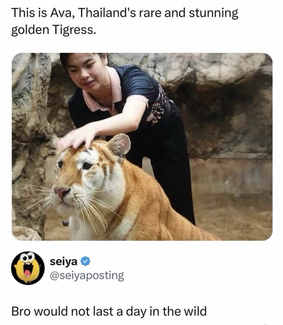 This Viral Post Is Breaking The Internet