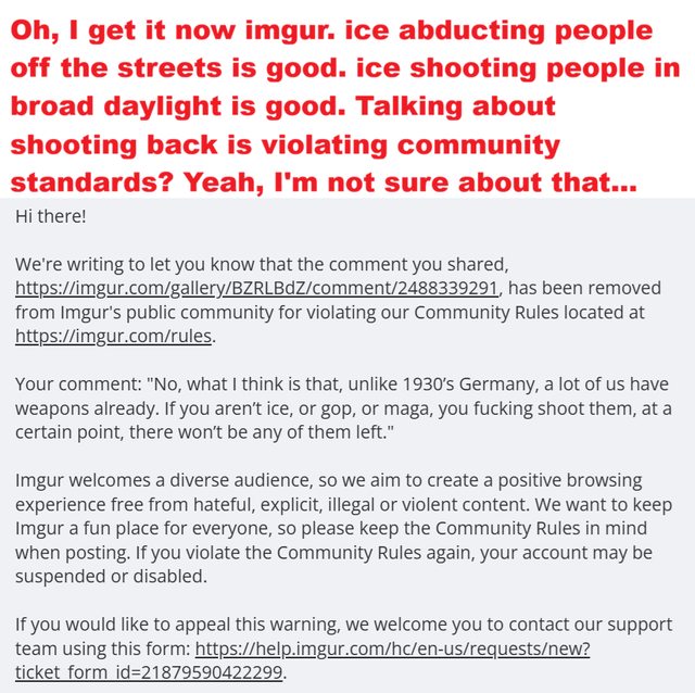 imgur mods apparently support nazis