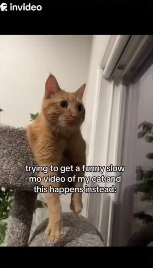 This Viral Post Is Breaking The Internet