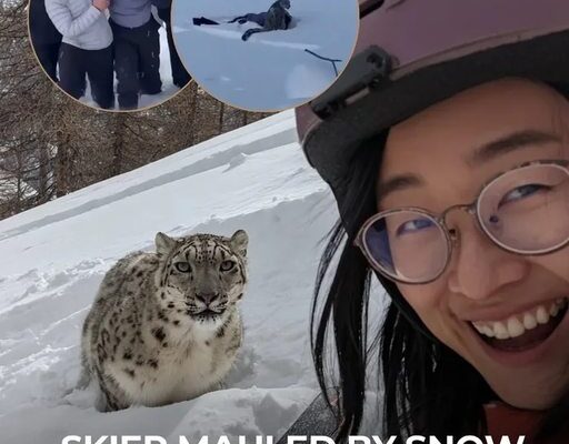 Somethingsomething leopards eating faces