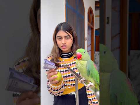 🦜पैसे चुरा लाया तोता🥰 👌❤️