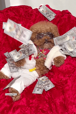 All About The Benjamins Money