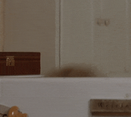 Robin Williams Hello GIF by 20th Century Fox Home Entertainment