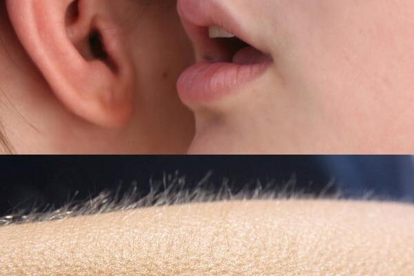 Whisper and Goosebumps