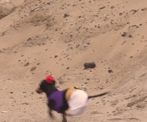 Trending GIF