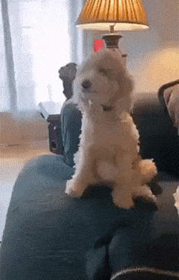 This Viral Post Is Breaking The Internet