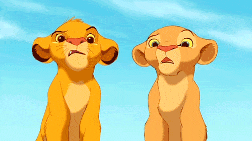 Confused The Lion King