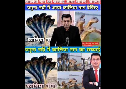 वृंदावन में कालिया नाग का सच्चाई आया सामने । कलयुग में आएंगे कृष भगवान। Kaliya…