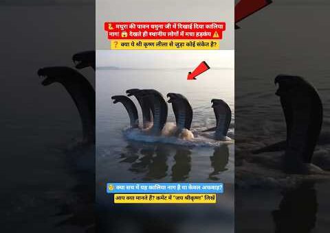 😱 मथुरा की पावन यमुना जी में दिखाई दिया कालिया नाग! 🐍 #KaliyaNaag #YamunaRiver #Vrindavan