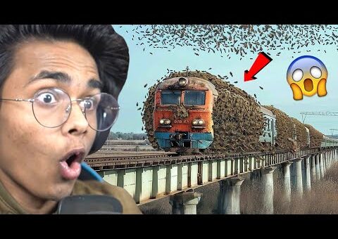 Mysterious Things Caught on Camera