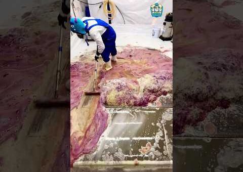 Oddly Satisfying Extreme Clean – Rug Transformation