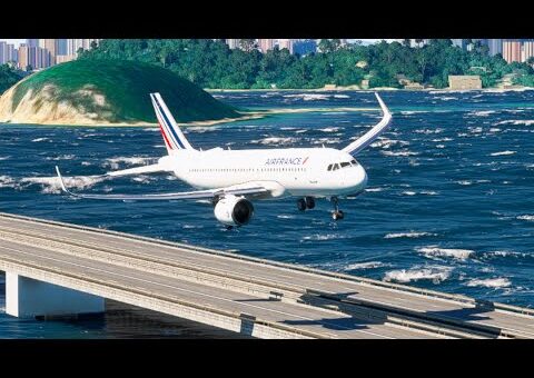 Amazing Flight Moments Caught on Camera eps. 83