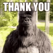 Thank U GIF by KiwiGo