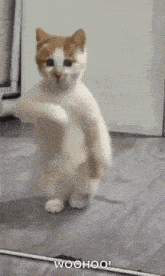 Trending GIF