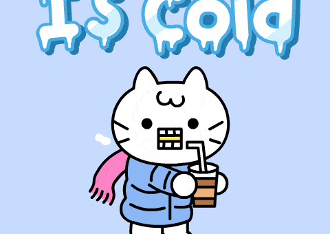 Cat Freezing GIF by Mikitti