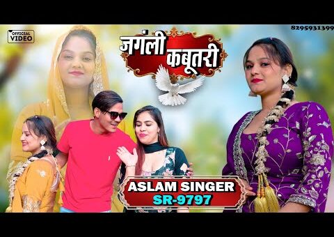 SR 9797 – Aslam Singer Mewati || जंगली कबूतरी || New Mewati Video Song 2026…